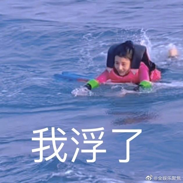 养一只猫咪它会不会太孤独了？游戏画面